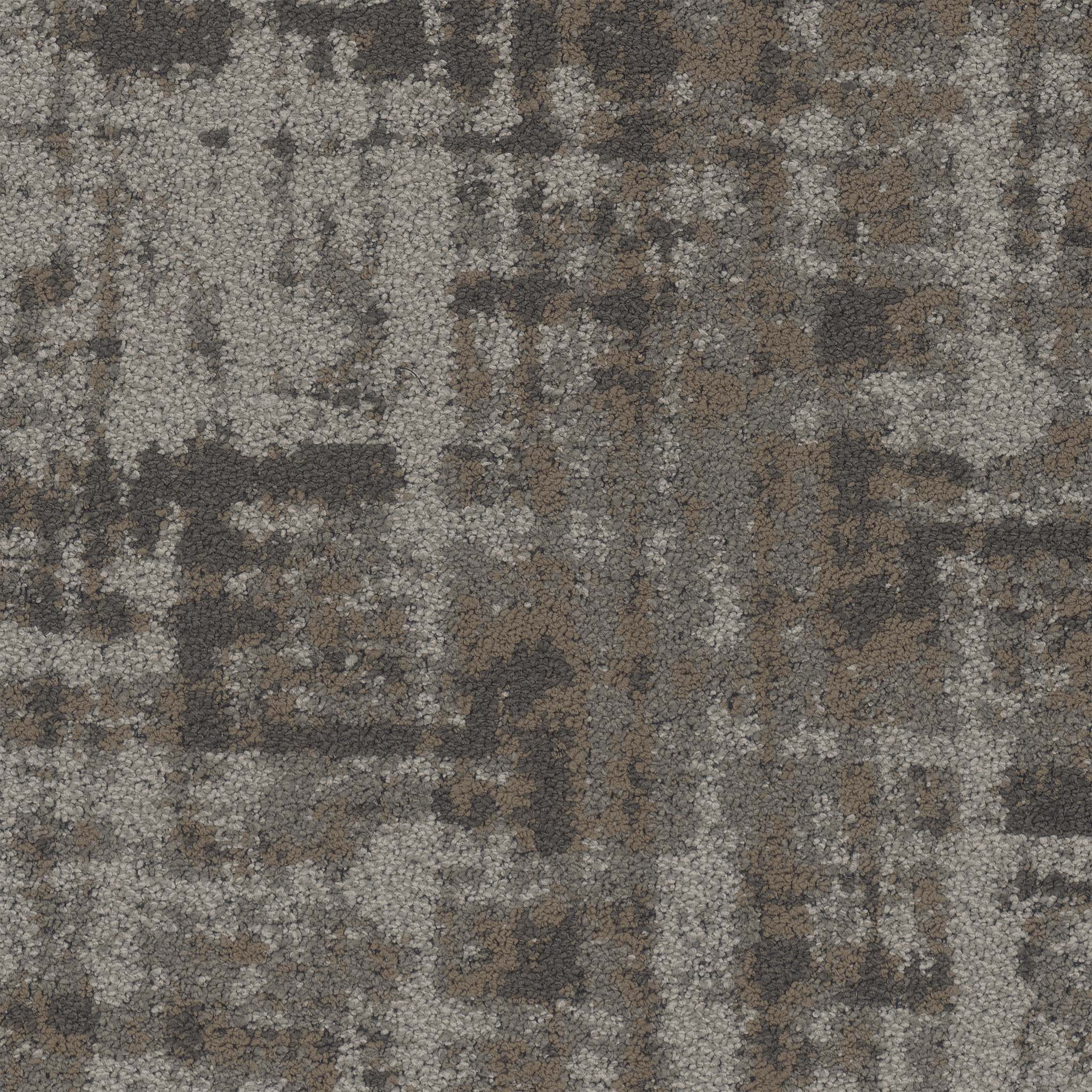 y.tabithaページ Amazon.com: Loloi Tabitha Collection TAI-02 Taupe/Pebble 9